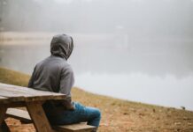 🌿 Finding Stillness in a Noisy World