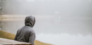 🌿 Finding Stillness in a Noisy World