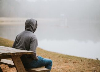 🌿 Finding Stillness in a Noisy World