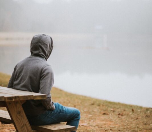 🌿 Finding Stillness in a Noisy World