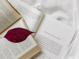 Most Underrated Books You Should Read