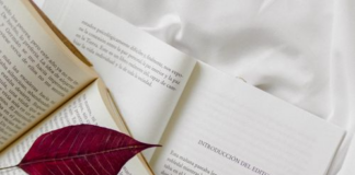 Most Underrated Books You Should Read