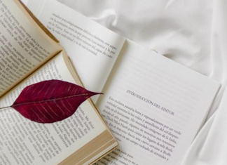 Most Underrated Books You Should Read