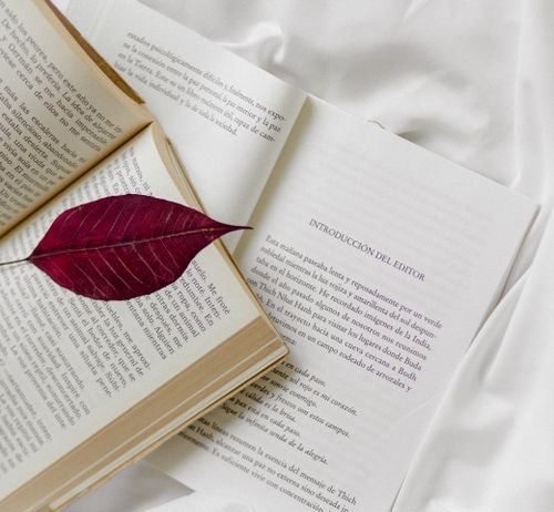 Most Underrated Books You Should Read