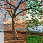 🌍 Best Travel Destinations for Every Season ✈️