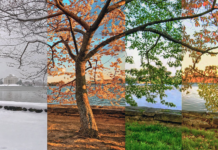 🌍 Best Travel Destinations for Every Season ✈️