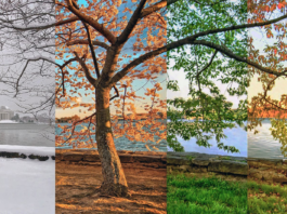 🌍 Best Travel Destinations for Every Season ✈️
