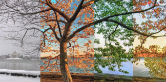 🌍 Best Travel Destinations for Every Season ✈️