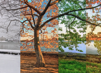 🌍 Best Travel Destinations for Every Season ✈️