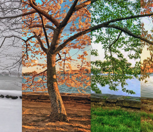 🌍 Best Travel Destinations for Every Season ✈️