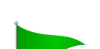 10 Green Flags Everyone Wants in a Relationship ❤️