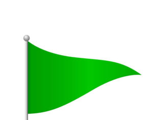10 Green Flags Everyone Wants in a Relationship ❤️