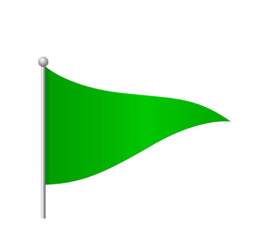 10 Green Flags Everyone Wants in a Relationship ❤️