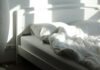 The sleep chart everyone copies has a footnote nobody reads An empty bed and floor lamp in morning sunlight
