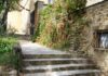 The people who found the Blue Zones are quietly walking them back Stone steps leading up to an ivy-covered building