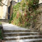 The people who found the Blue Zones are quietly walking them back Stone steps leading up to an ivy-covered building
