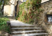 The people who found the Blue Zones are quietly walking them back Stone steps leading up to an ivy-covered building
