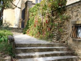 The people who found the Blue Zones are quietly walking them back Stone steps leading up to an ivy-covered building