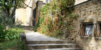 The people who found the Blue Zones are quietly walking them back Stone steps leading up to an ivy-covered building