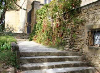 The people who found the Blue Zones are quietly walking them back Stone steps leading up to an ivy-covered building