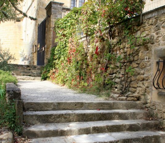 The people who found the Blue Zones are quietly walking them back Stone steps leading up to an ivy-covered building