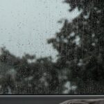 What ‘just go for a walk’ leaves out A quiet window with a tree outside