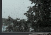 What ‘just go for a walk’ leaves out A quiet window with a tree outside