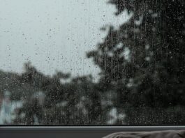What ‘just go for a walk’ leaves out A quiet window with a tree outside
