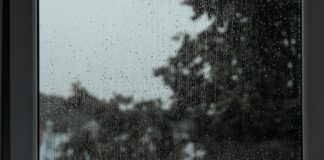 What ‘just go for a walk’ leaves out A quiet window with a tree outside