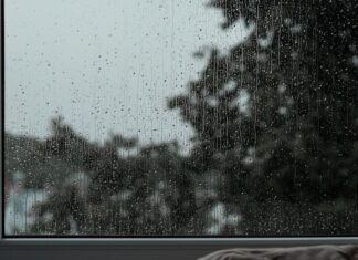 What ‘just go for a walk’ leaves out A quiet window with a tree outside