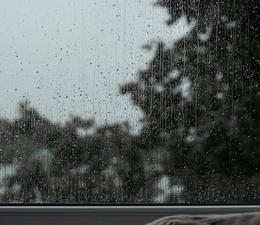 What ‘just go for a walk’ leaves out A quiet window with a tree outside